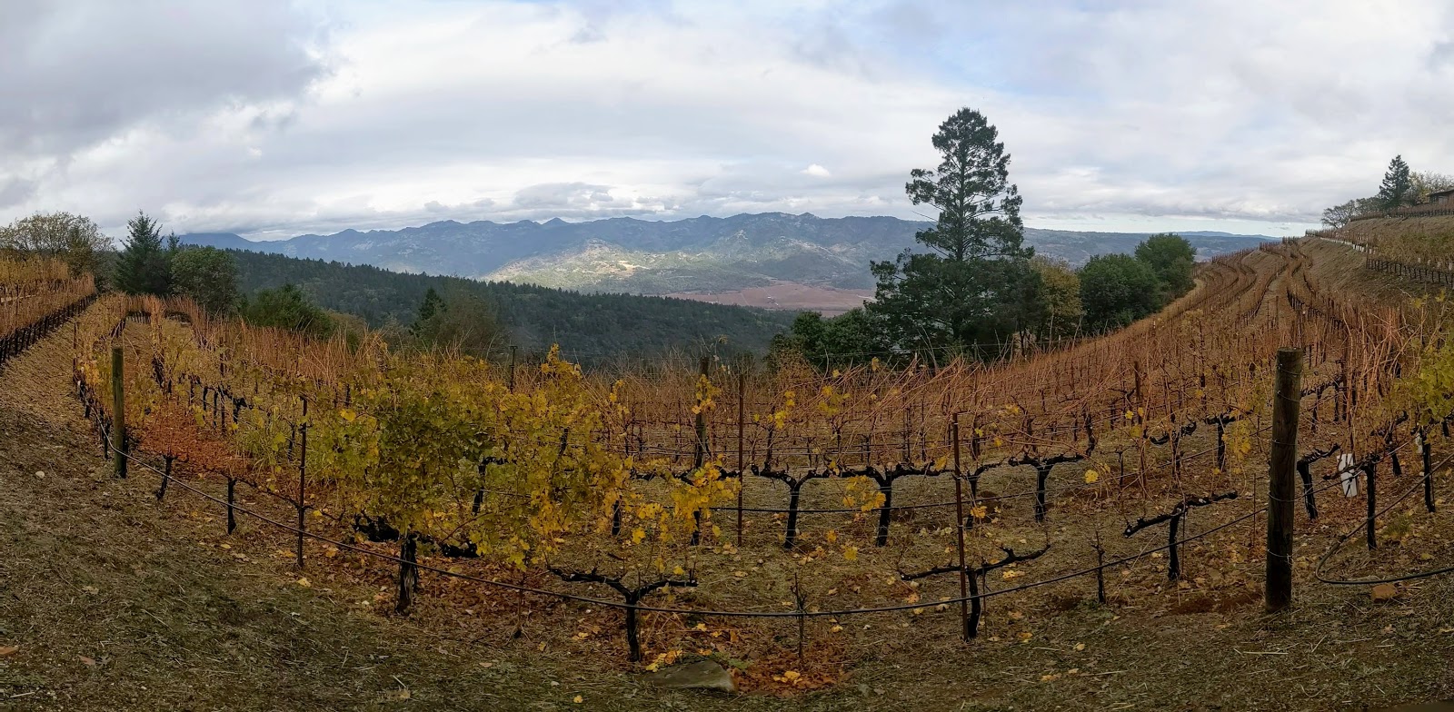 Meeting and challenging preconceptions – Napa Day 2
